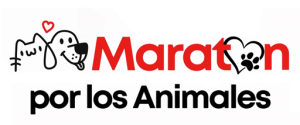 :: La Maraton de los Animales